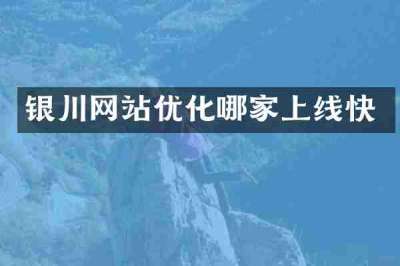 银川网站优化哪家上线快