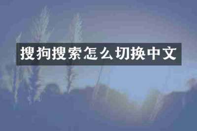 搜狗搜索怎么切换中文