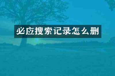 必应搜索记录怎么删