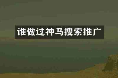 谁做过神马搜索推广