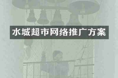 水城超市网络推广方案
