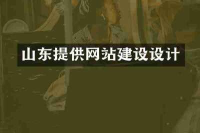 山东提供网站建设设计