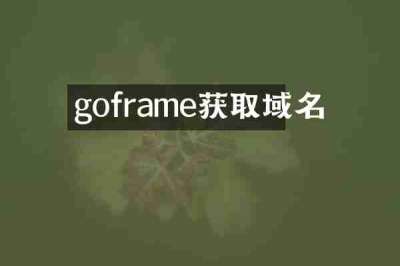 goframe获取域名
