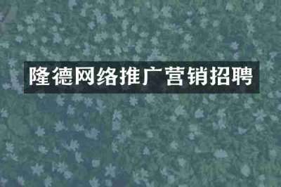 隆德网络推广营销招聘