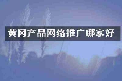 黄冈产品网络推广哪家好