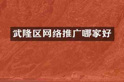 武隆区网络推广哪家好
