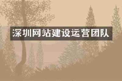 深圳网站建设运营团队