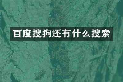 百度搜狗还有什么搜索