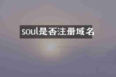 soul是否注册域名
