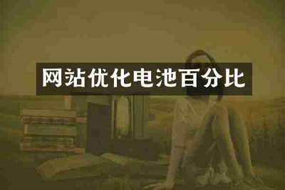 网站优化电池百分比