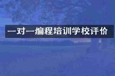 一对一编程培训学校评价