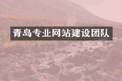 青岛专业网站建设团队
