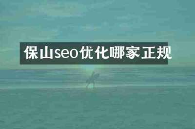 保山seo优化哪家正规