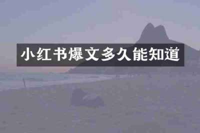 小红书爆文多久能知道