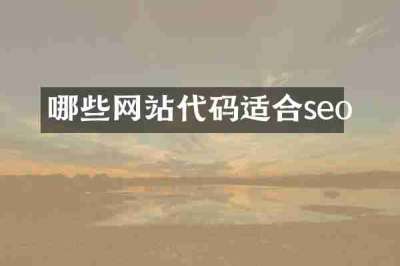 哪些网站代码适合seo