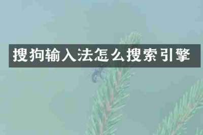 搜狗输入法怎么搜索引擎