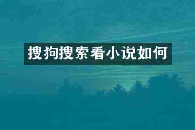 搜狗搜索看小说如何