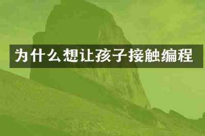 为什么想让孩子接触编程