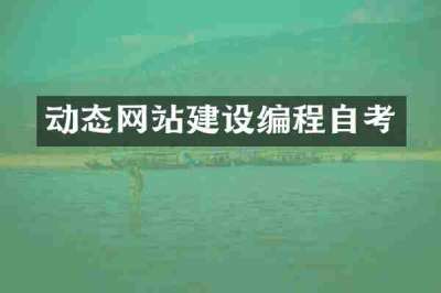 动态网站建设编程自考