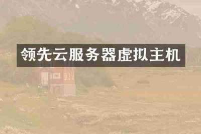 领先云服务器虚拟主机