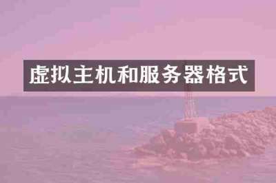 虚拟主机和服务器格式