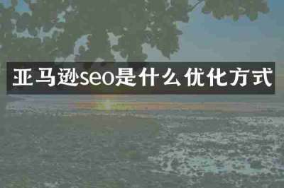 亚马逊seo是什么优化方式