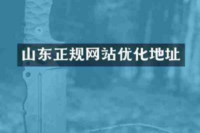 山东正规网站优化地址