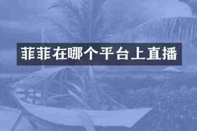 菲菲在哪个平台上直播