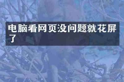 电脑看网页没问题就花屏了