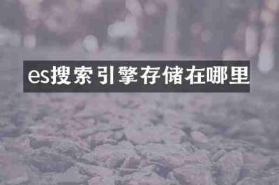 es搜索引擎存储在哪里