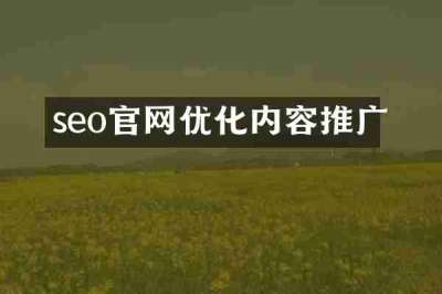 seo官网优化内容推广