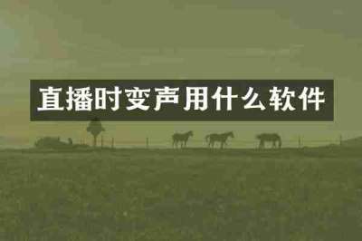 直播时变声用什么软件