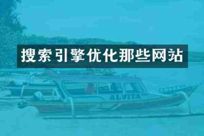 搜索引擎优化那些网站