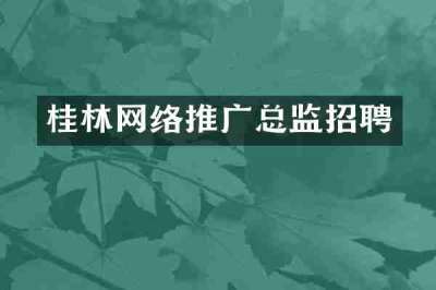 桂林网络推广总监招聘