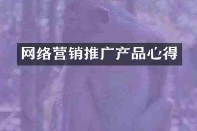 网络营销推广产品心得