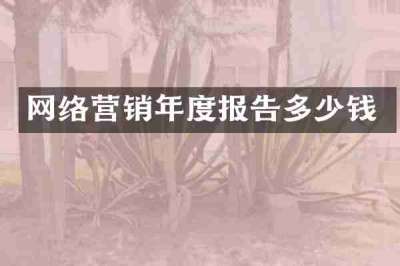 网络营销年度报告多少钱
