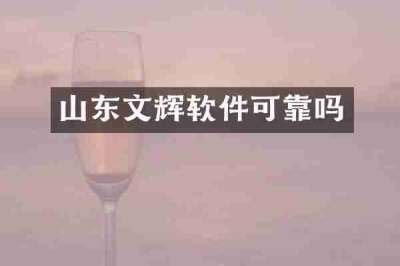 山东文辉软件可靠吗