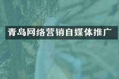 青岛网络营销自媒体推广