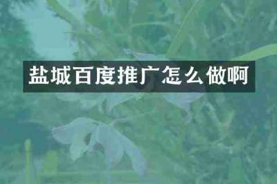 盐城百度推广怎么做啊
