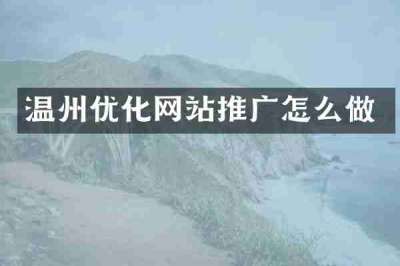 温州优化网站推广怎么做