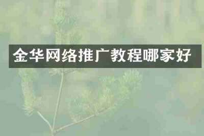 金华网络推广教程哪家好