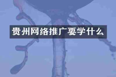贵州网络推广要学什么