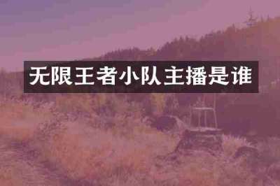 无限王者小队主播是谁