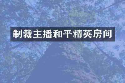 制裁主播和平精英房间