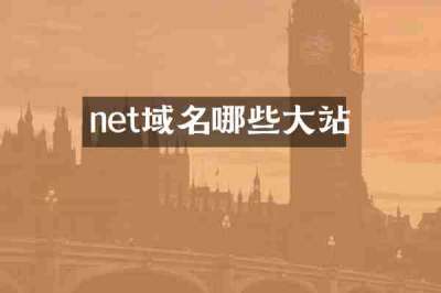 net域名哪些大站