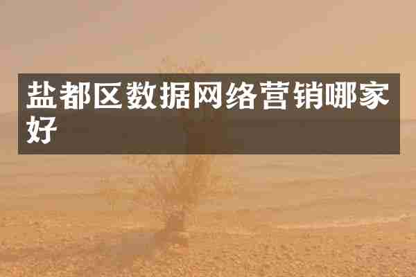 盐都区数据网络营销哪家好