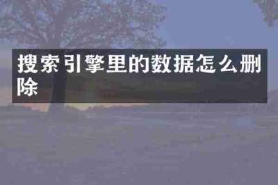 搜索引擎里的数据怎么删除