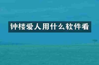 钟楼爱人用什么软件看