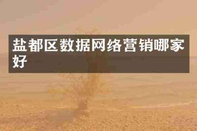 盐都区数据网络营销哪家好