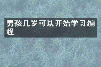 男孩几岁可以开始学习编程